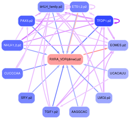 PNG image of the network